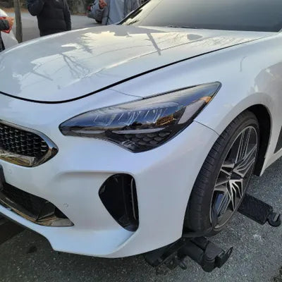 2021 Kia Stinger KNAE351DDMS099818 VIN:KNAE351DDMS099818