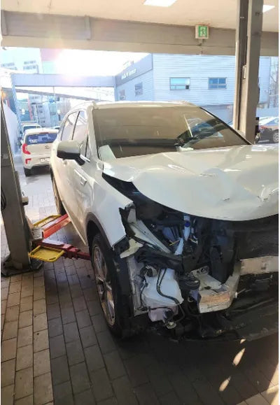 2021 Kia Sorento KNARL81BGMA004322 VIN:KNARL81BGMA004322