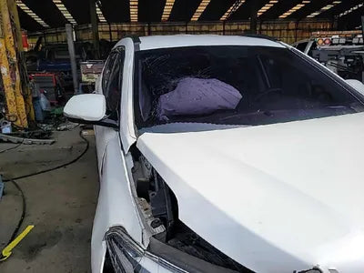 2016 Hyundai Santa FE KMHSW81XDGU665677 VIN:KMHSW81XDGU665677