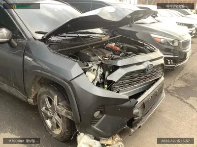 2021 Toyota RAV4 JTMDWRFV1MD113882 VIN:JTMDWRFV1MD113882