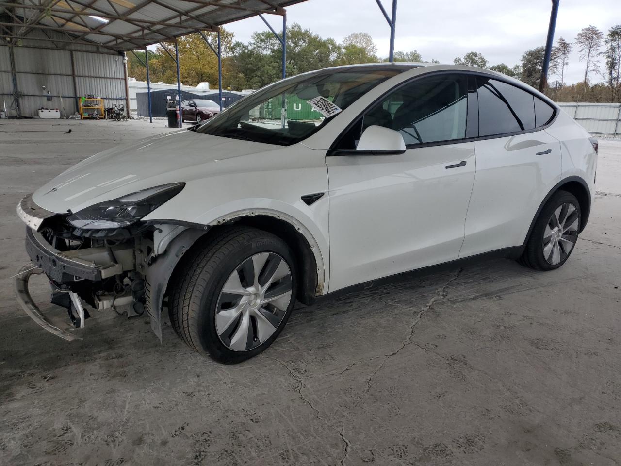 2023 TESLA MODEL Y  VIN:7SAYGDEE8PF771184