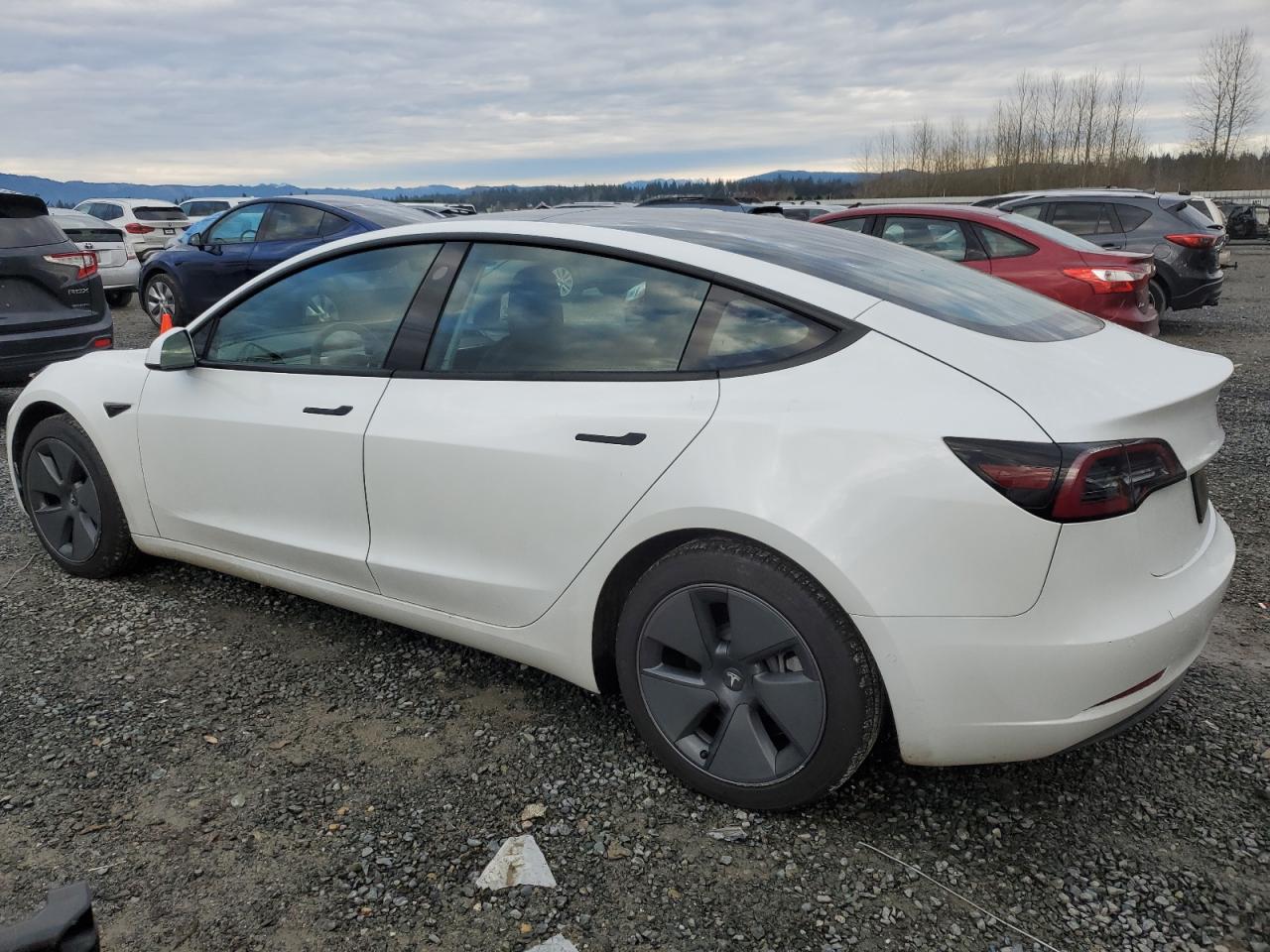 2022 TESLA MODEL 3  VIN:5YJ3E1EA7NF245103