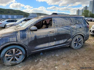 2020 Kia Sorento KNAPG81ABLA626790 VIN:KNAPG81ABLA626790