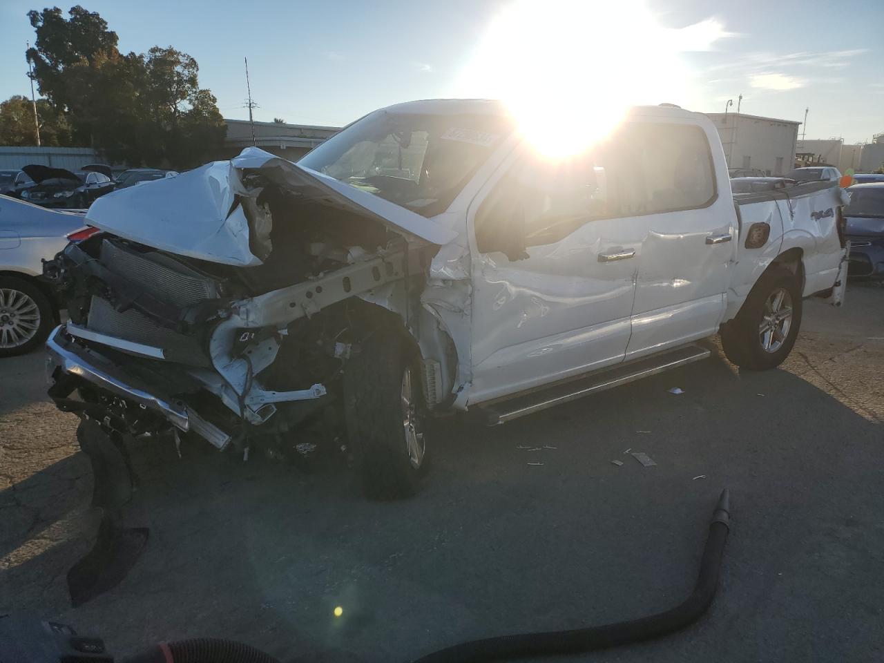 2024 FORD F150 XLT VIN:1FTFW3L89RKE36083