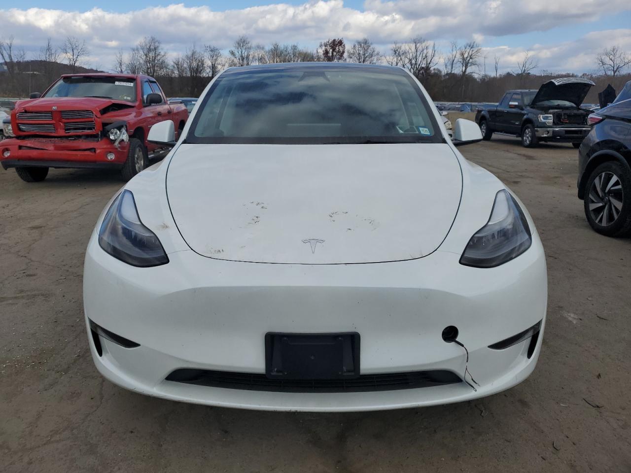 2024 TESLA MODEL Y  VIN:7SAYGDEE8RF133410