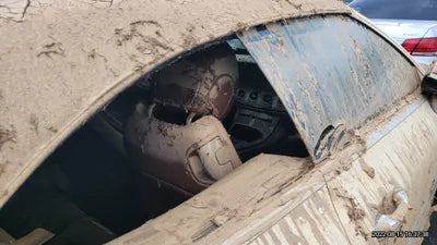 2019 Mercedes-Benz E 220 WDD1K1EB0KF115623 VIN:WDD1K1EB0KF115623