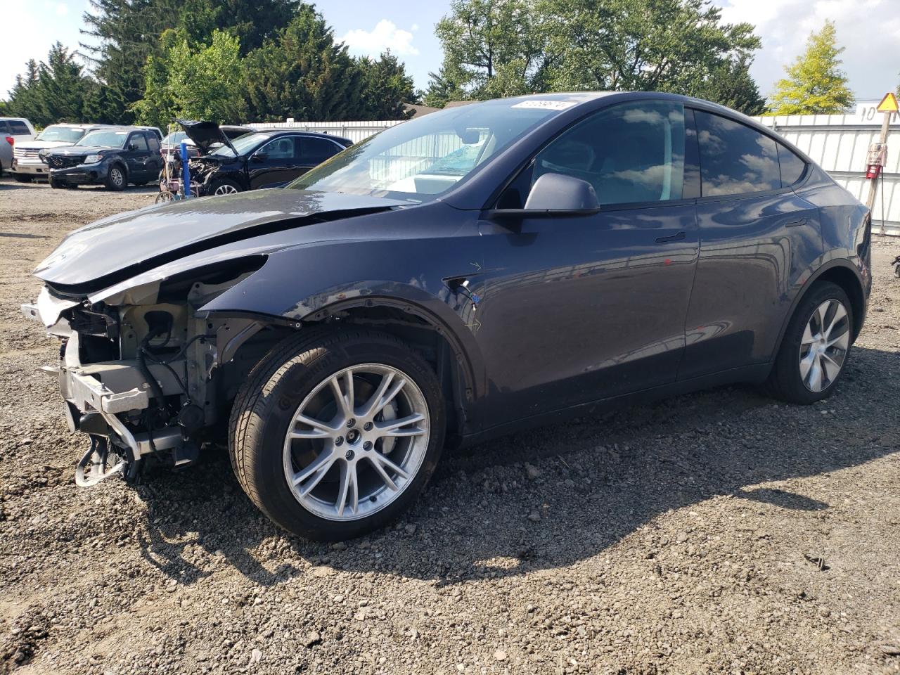 2023 TESLA MODEL Y  VIN:7SAYGDEEXPF825343