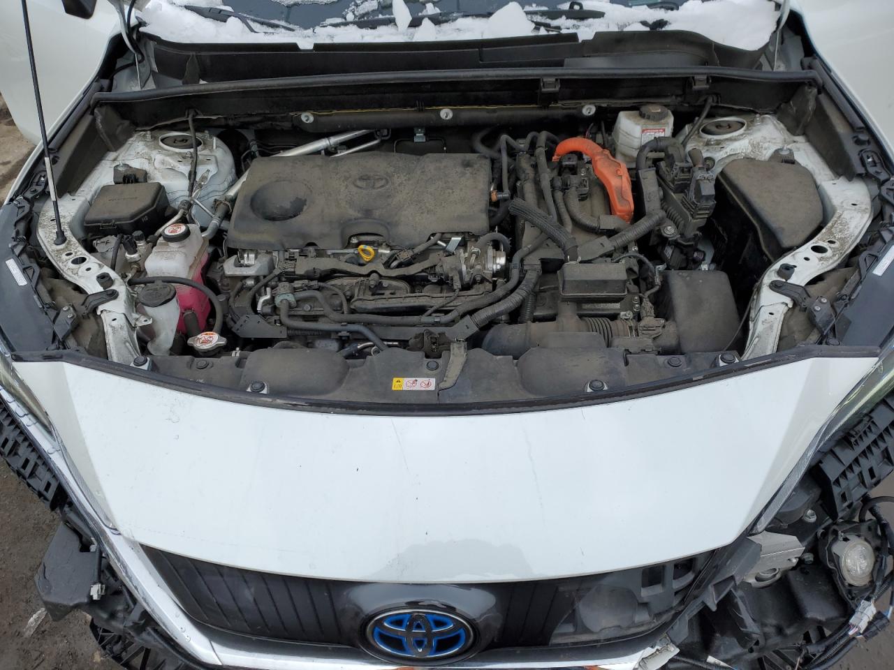 2023 TOYOTA VENZA LE VIN:JTEAAAAH4PJ126017