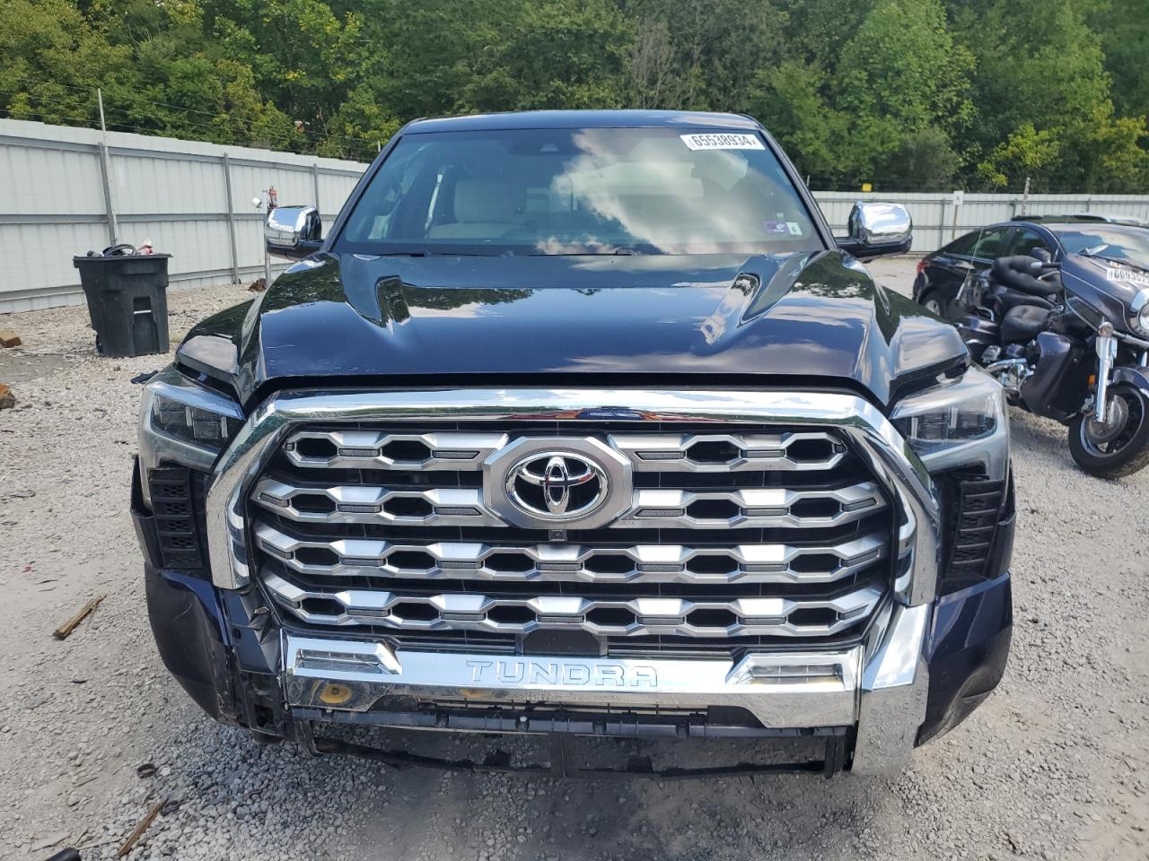 2023 TOYOTA TUNDRA CREWMAX PLATINUM VIN:5TFMA5DB8PX110206
