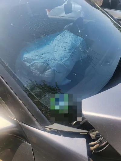 2019 Honda Accord 148KM1HGCV3690KA5 VIN:148KM1HGCV3690KA5