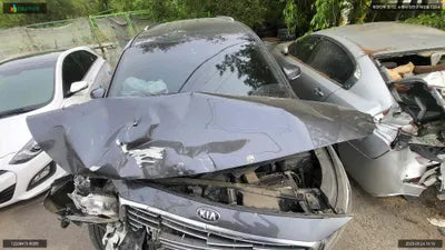 2017 Kia Carnival KNAMC81ABJS421432 VIN:KNAMC81ABJS421432