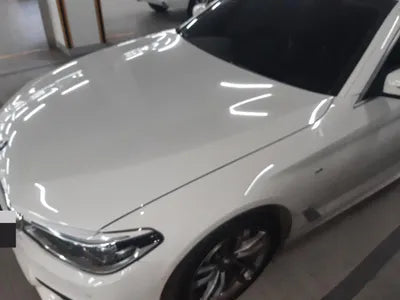 2019 BMW 520 WBAJF5101LCD42963 VIN:WBAJF5101LCD42963