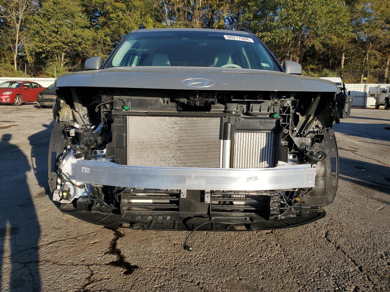 2024 HYUNDAI SANTA FE SEL VIN:5NMP24GL5RH016238