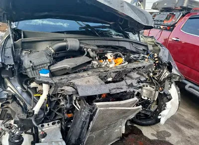 2022 Kia Sorento KNARJ81GBNA065251 VIN:KNARJ81GBNA065251