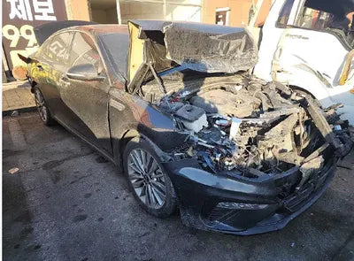 2019 Kia K5 KNAGU411BKA265258 VIN:KNAGU411BKA265258