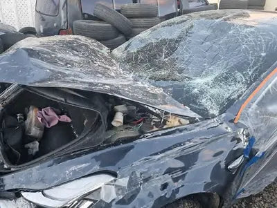 2020 Tesla Model 3 5YJ3E1EB0LF750728 VIN:5YJ3E1EB0LF750728