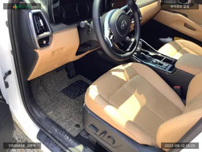 2021 Kia Sorento KNARF81BHMA088631 VIN:KNARF81BHMA088631