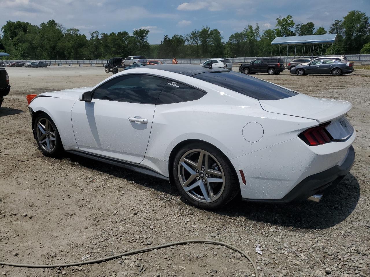 2024 FORD MUSTANG  VIN:1FA6P8TH6R5103046