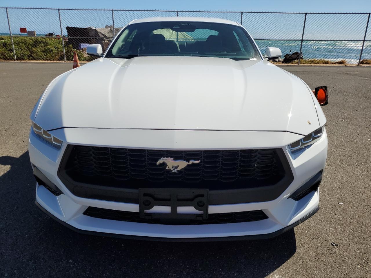2024 FORD MUSTANG  VIN:1FA6P8TH6R5102995
