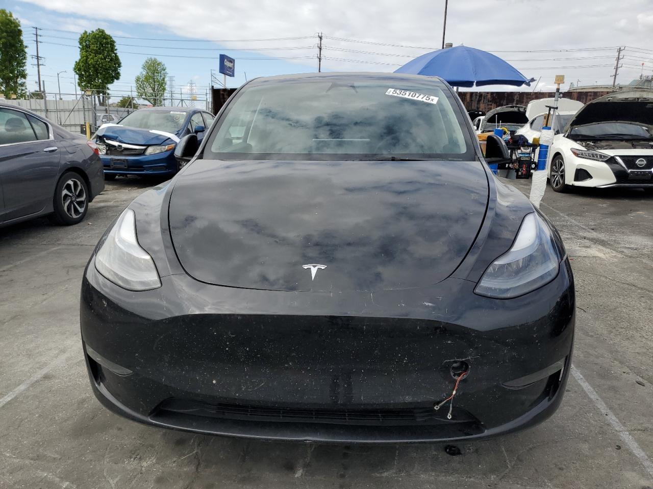 2023 TESLA MODEL Y  VIN:7SAYGDEE3PF646125