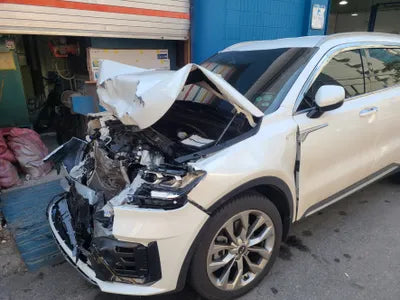 2021 Kia Sorento KNARL81BGMA039006 VIN:KNARL81BGMA039006