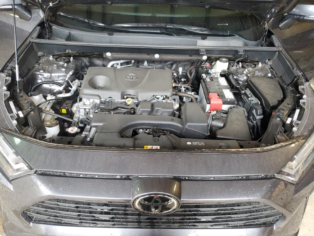 2024 TOYOTA RAV4 XLE VIN:2T3W1RFV2RC281338