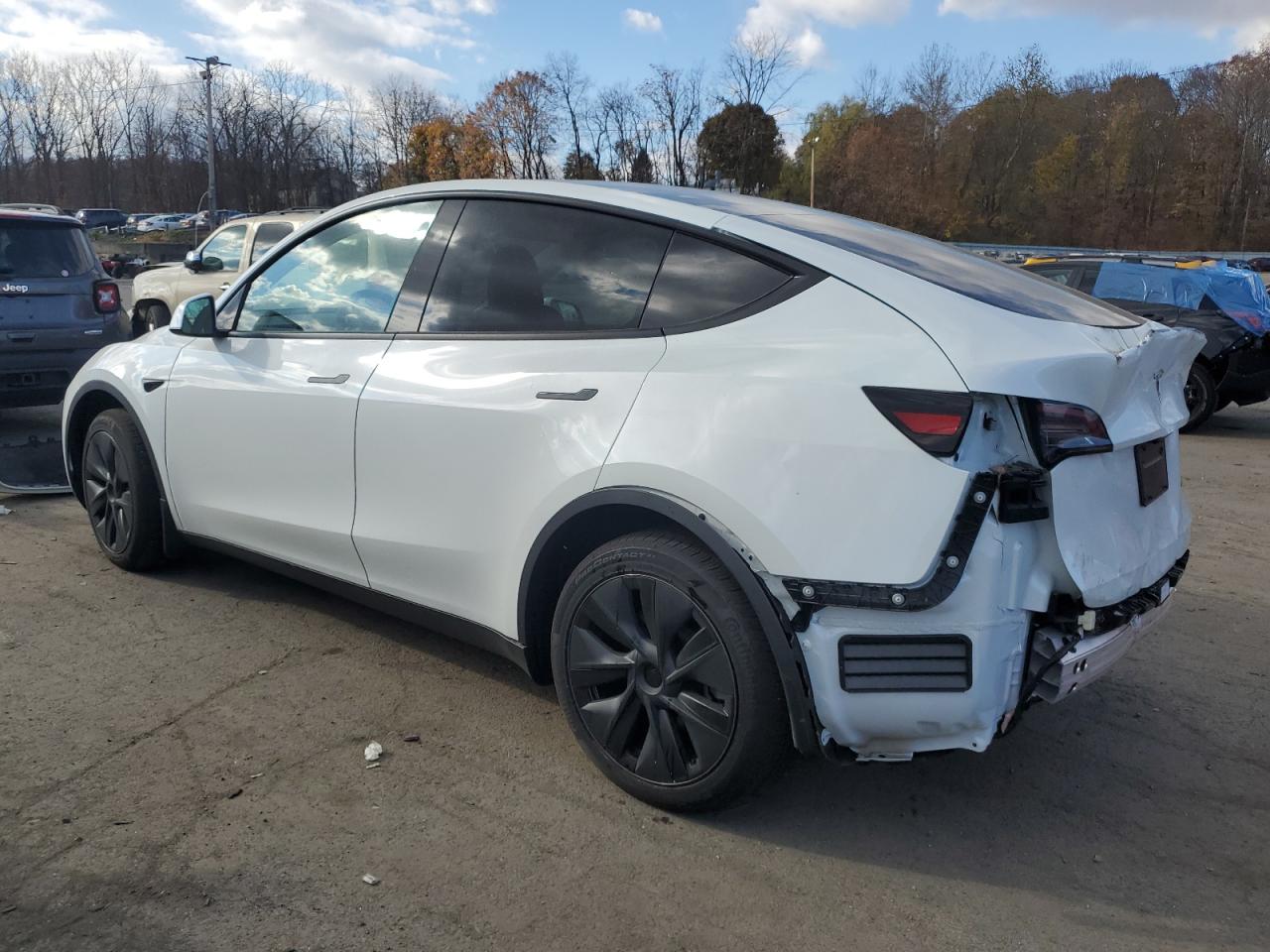 2024 TESLA MODEL Y  VIN:7SAYGDEE8RF133410