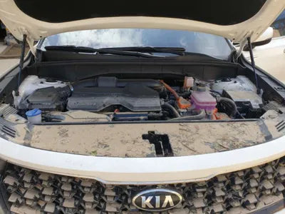 2021 Kia Sorento KNARL81GBMA004470 VIN:KNARL81GBMA004470