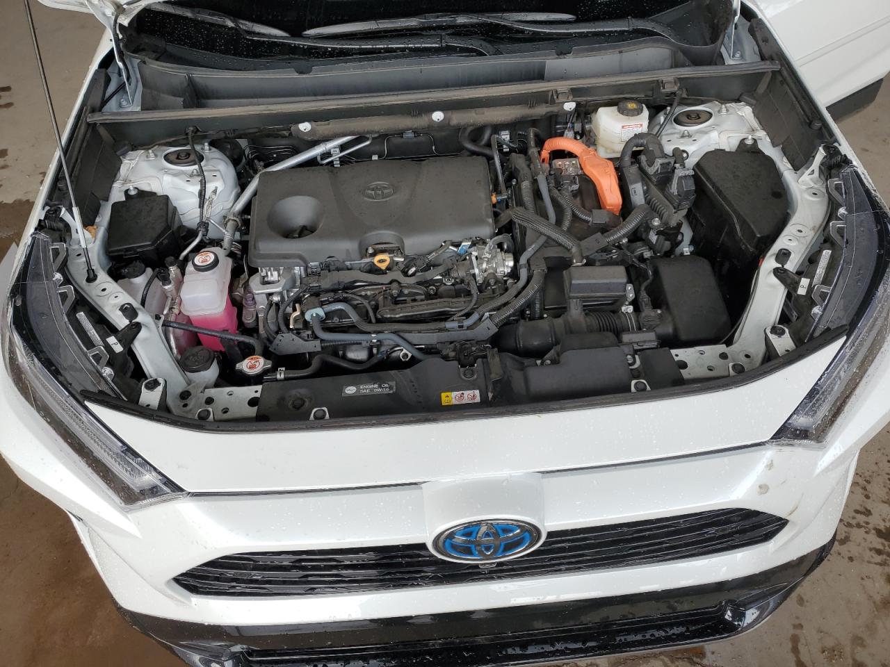 2023 TOYOTA RAV4 XSE VIN:2T3E6RFV1PW039326