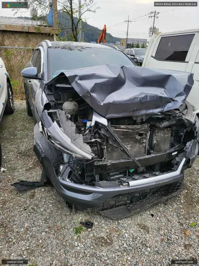 2018 Hyundai Tucson KMHJ381ABKU875221 VIN:KMHJ381ABKU875221