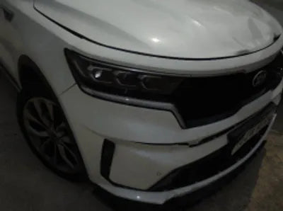 2021 Kia Sorento KNARL81BGMA079110 VIN:KNARL81BGMA079110