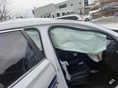 2020 Hyundai Santa FE KMHS281BBLU239686 VIN:KMHS281BBLU239686