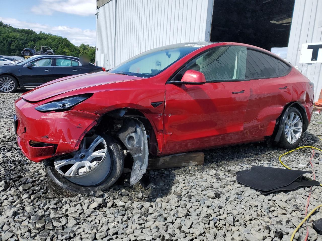 2023 TESLA MODEL Y  VIN:7SAYGDEE5PF703795