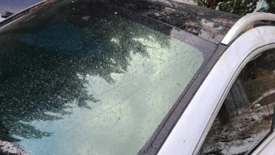 2021 Mercedes-Benz B 250 W1N4M4HB4MW101928 VIN:W1N4M4HB4MW101928