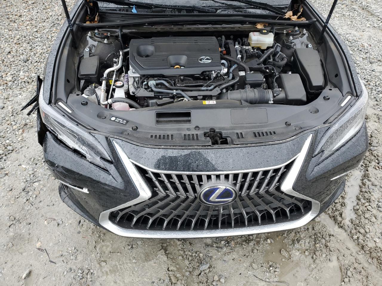 2022 LEXUS ES 300H BASE VIN:58AFA1C19NU023900
