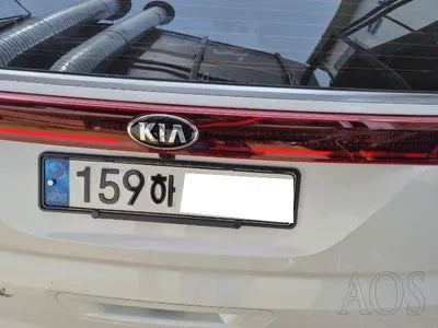 2020 Kia Carnival KNANC81BBMS015175 VIN:KNANC81BBMS015175