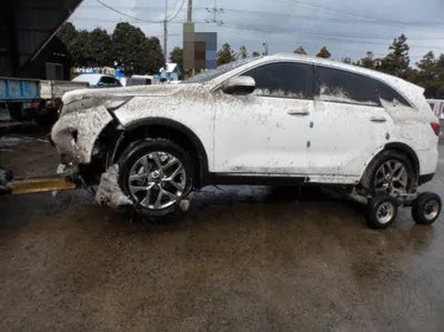 2019 Kia Sorento VIN: