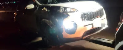 2015 Kia Sportage KNAPN813BGK014071 VIN:KNAPN813BGK014071