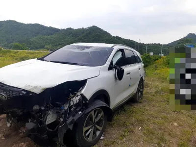 2019 Kia Sorento 657KMKNAPG81ABKA5 VIN:657KMKNAPG81ABKA5