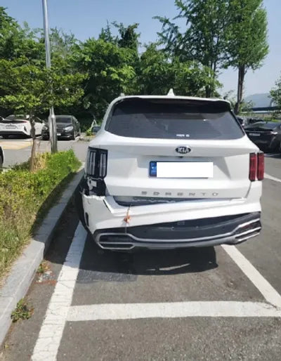 2021 Kia Sorento KNARL81BGMA026537 VIN:KNARL81BGMA026537