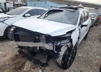 2021 Hyundai Santa FE KMHS581HGMU396744 VIN:KMHS581HGMU396744