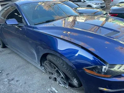 2019 Ford Mustang 442KM1FA6P8TH4K51 VIN:442KM1FA6P8TH4K51