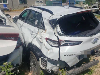 2019 Hyundai Kona KMHK281GFLU066548 VIN:KMHK281GFLU066548