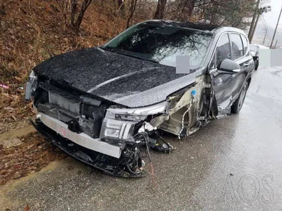 2020 Hyundai Santa FE 1KMHS281BBLU28875 VIN:1KMHS281BBLU28875