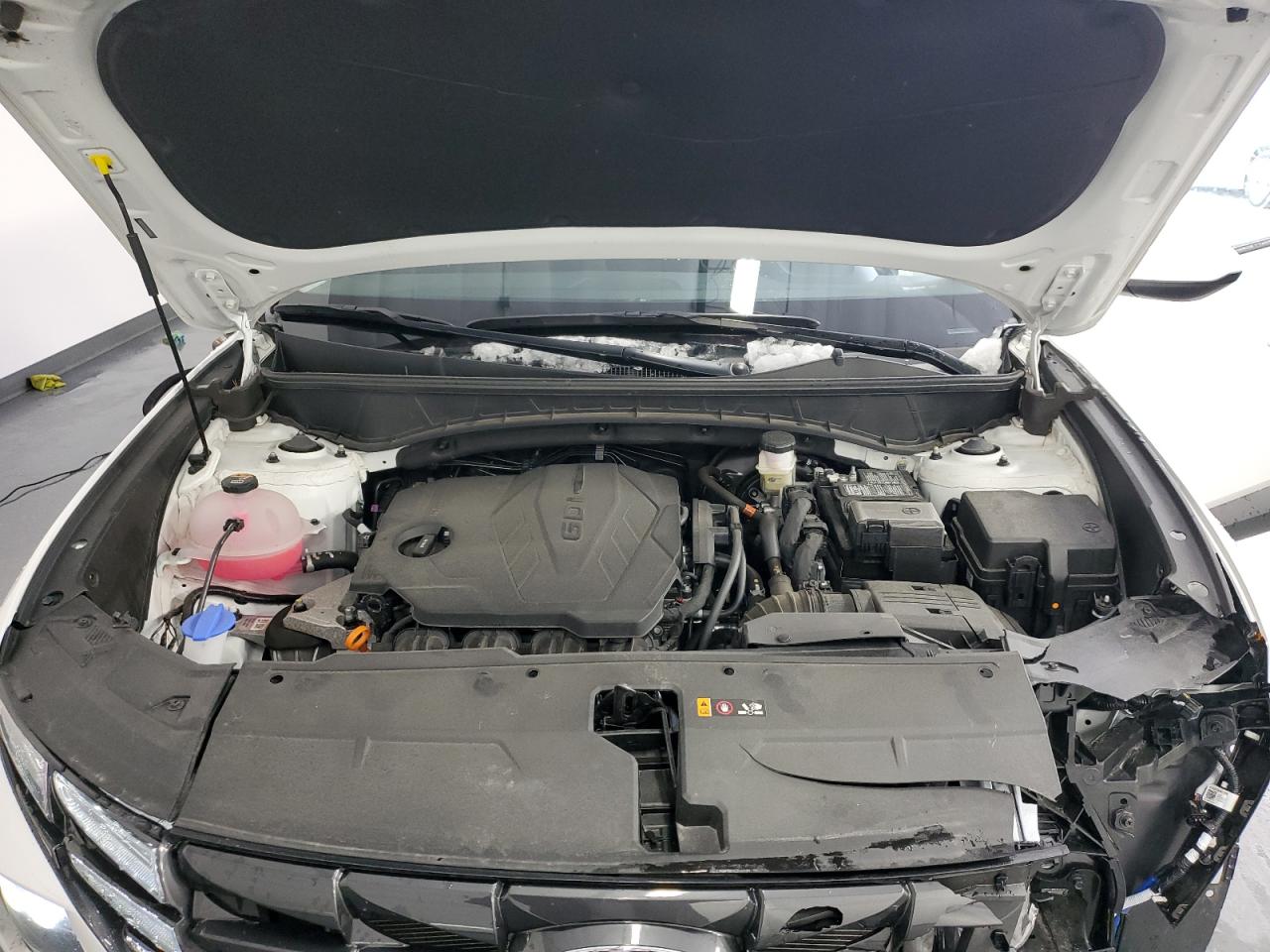 2024 HYUNDAI TUCSON SEL VIN:5NMJBCDE1RH386849