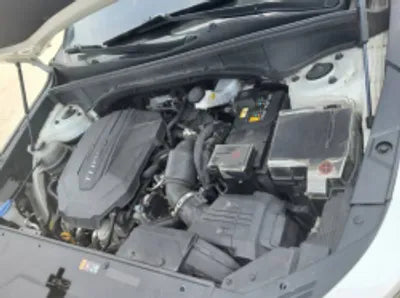 2021 Kia Sorento KNARL81BGMA079110 VIN:KNARL81BGMA079110