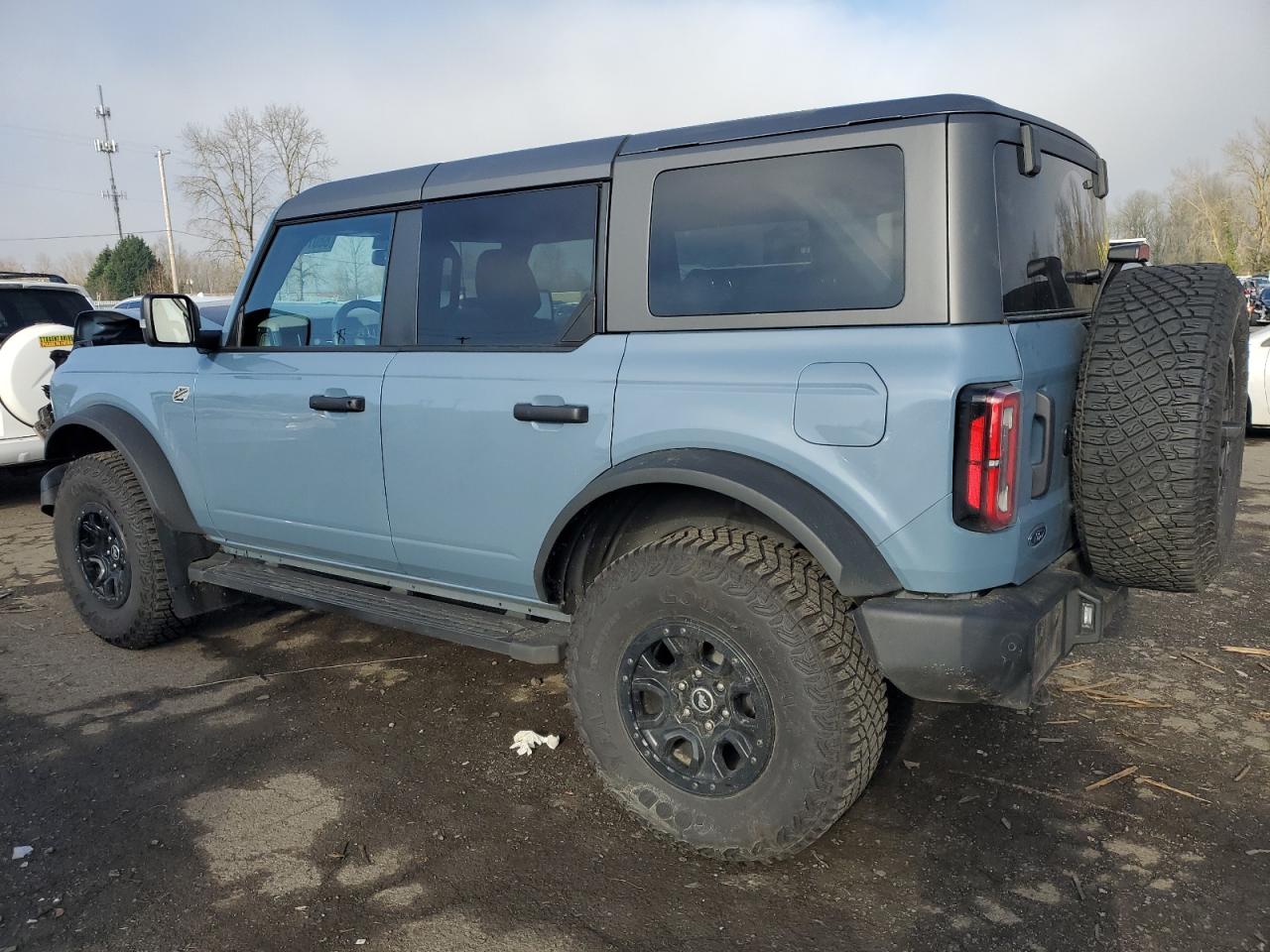 2023 FORD BRONCO BASE VIN:1FMEE5DPXPLC16437