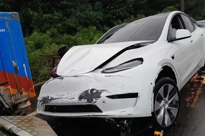 2021 Tesla Model Y 5YJYGDEE3MF227183 VIN:5YJYGDEE3MF227183