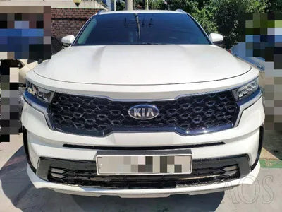 2020 Kia Sorento KNARL81BHMA045683 VIN:KNARL81BHMA045683