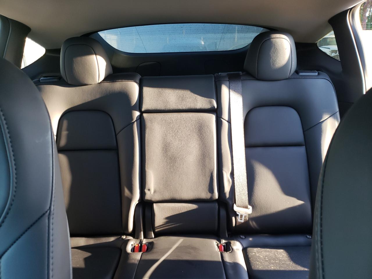 2023 TESLA MODEL Y  VIN:7SAYGDEE2PF688592